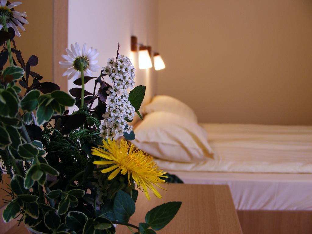 Motel Vector Acăţari Rum bild