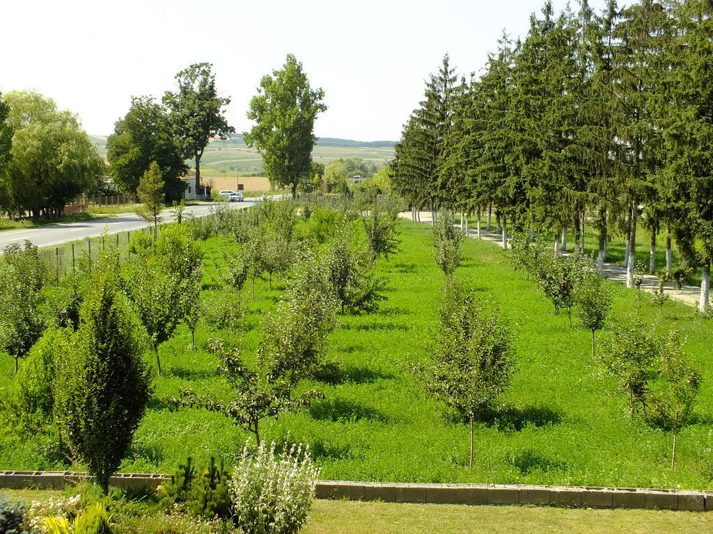 Motel Vector Acăţari Exteriör bild